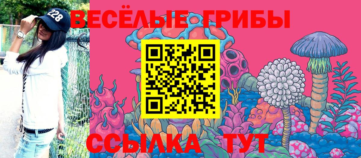 Галлюциногенные грибы MAGIC MUSHROOMS  Галлюциногенные грибы Magic Shrooms  Вход с VPN  Серов 